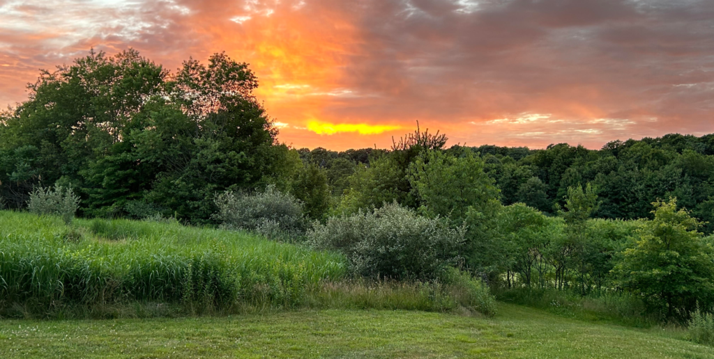 Grindstone MTB Camp FAQ's