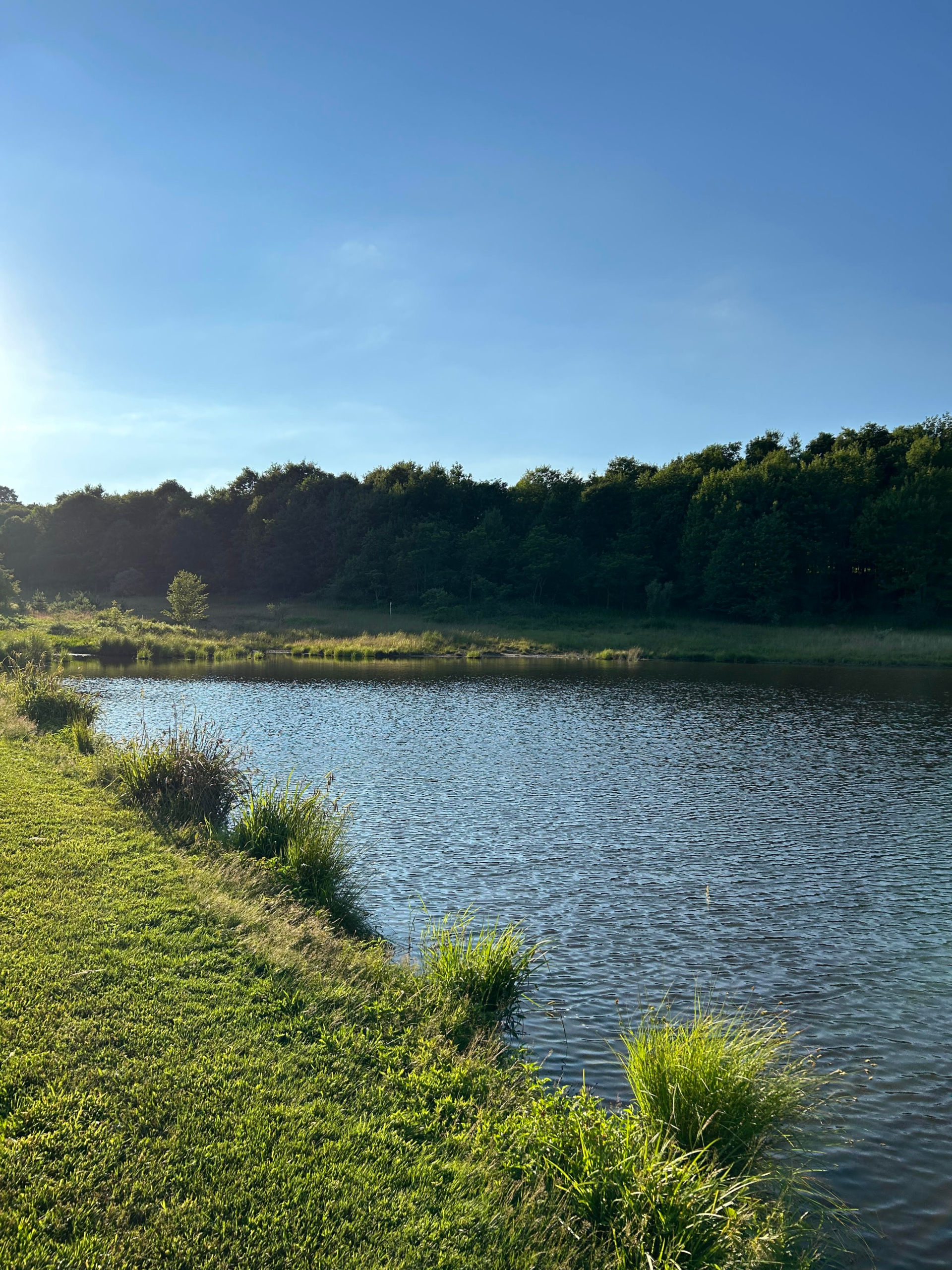 Grindstone MTB Camp Location