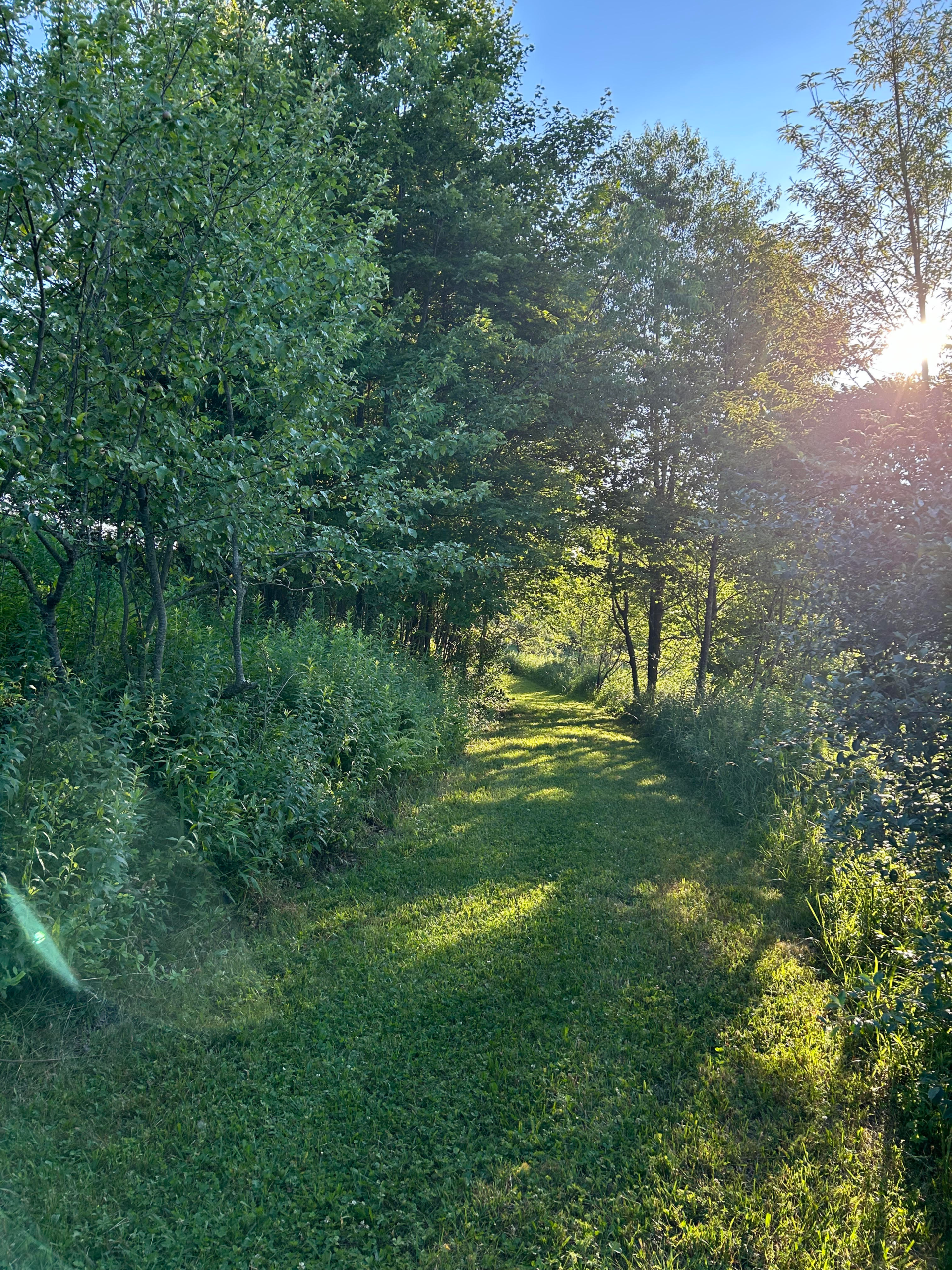Grindstone MTB Camp Location