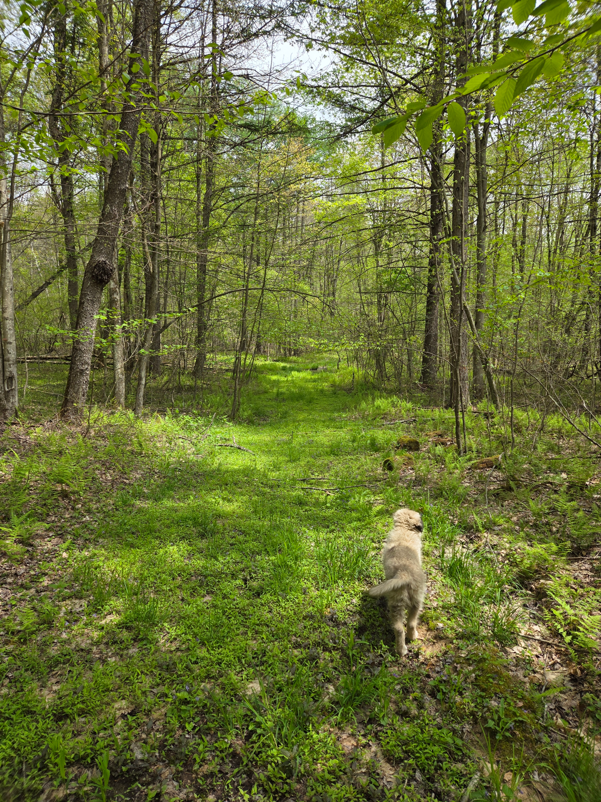 Grindstone MTB Camp Location